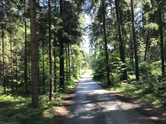 Thumbnail of IMG_0554.jpg