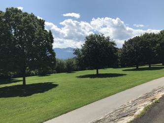 Thumbnail of IMG_0570.jpg