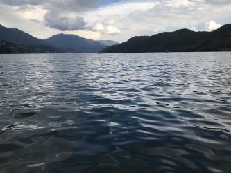 Thumbnail of IMG_0608.jpg