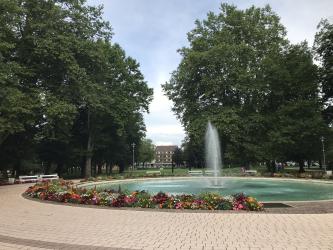 Thumbnail of IMG_0616.jpg