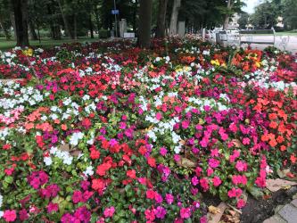 Thumbnail of IMG_0620.jpg