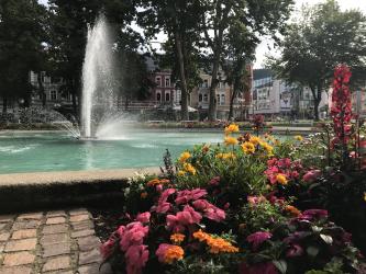 Thumbnail of IMG_0627.jpg