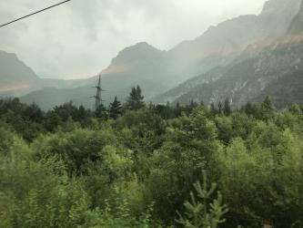 Thumbnail of IMG_0642.jpg