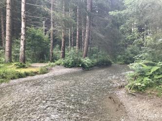 Thumbnail of IMG_0682.jpg