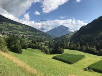 Thumbnail of IMG_0705.jpg