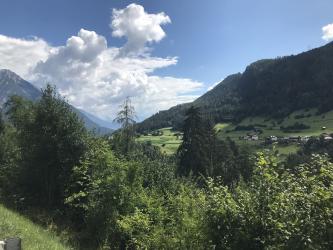 Thumbnail of IMG_0708.jpg