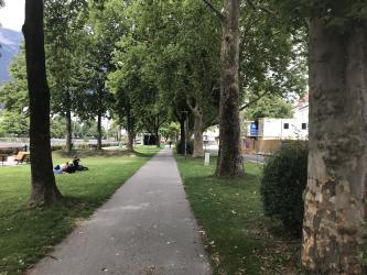 Thumbnail of IMG_0740.jpg