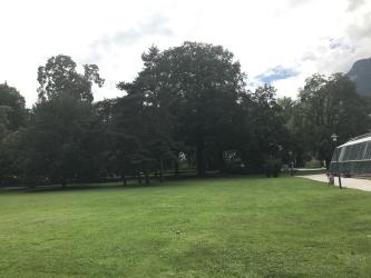 Thumbnail of IMG_0746.jpg