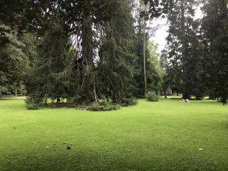 Thumbnail of IMG_0750.jpg