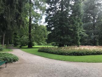 Thumbnail of IMG_0826.jpg