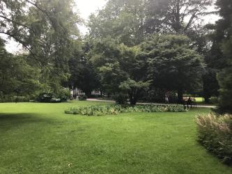 Thumbnail of IMG_0827.jpg