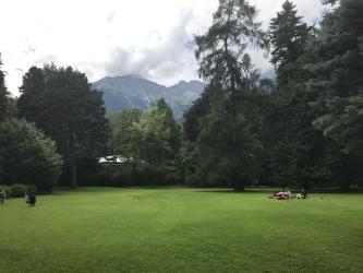 Thumbnail of IMG_0830.jpg