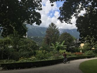 Thumbnail of IMG_0833.jpg