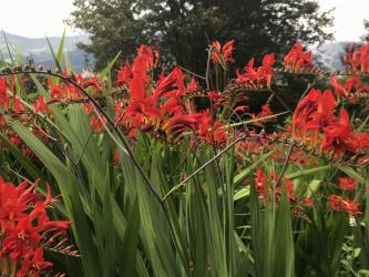 Thumbnail of IMG_0834.jpg