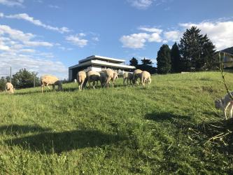 Thumbnail of IMG_0852.jpg