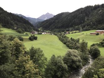 Thumbnail of IMG_0862.jpg