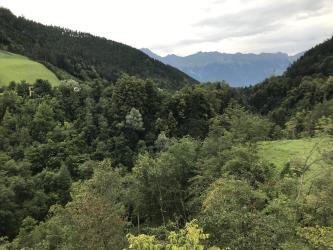 Thumbnail of IMG_0865.jpg