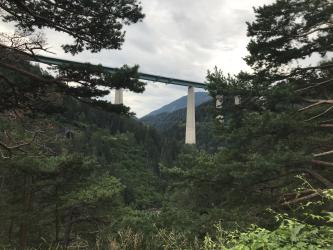 Thumbnail of IMG_0867.jpg