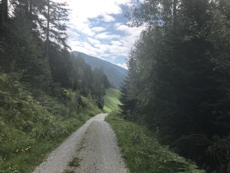 Thumbnail of IMG_0880.jpg