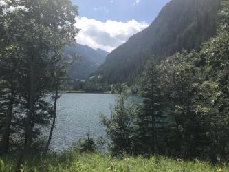 Thumbnail of IMG_0891.jpg