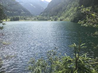 Thumbnail of IMG_0892.jpg