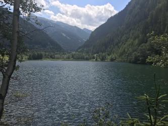 Thumbnail of IMG_0894.jpg