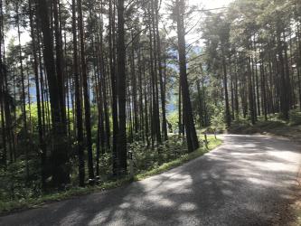 Thumbnail of IMG_0920.jpg