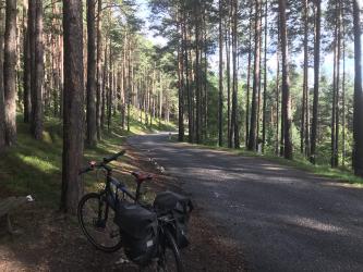 Thumbnail of IMG_0923.jpg