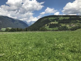 Thumbnail of IMG_0950.jpg