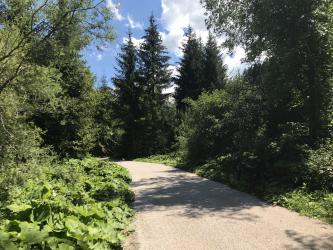 Thumbnail of IMG_0951.jpg