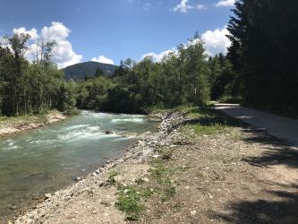 Thumbnail of IMG_0958.jpg