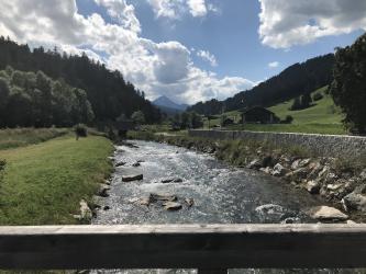 Thumbnail of IMG_0973.jpg