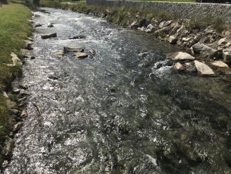 Thumbnail of IMG_0974.jpg