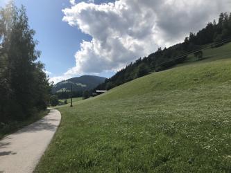 Thumbnail of IMG_0976.jpg