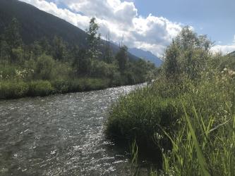 Thumbnail of IMG_0977.jpg