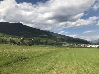 Thumbnail of IMG_0980.jpg