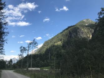 Thumbnail of IMG_0985.jpg