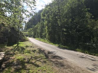 Thumbnail of IMG_0987.jpg