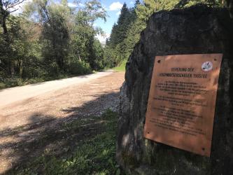 Thumbnail of IMG_0988.jpg