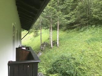 Thumbnail of IMG_0993.jpg