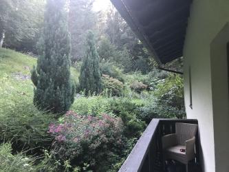 Thumbnail of IMG_0995.jpg