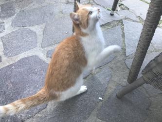 Thumbnail of IMG_0998.jpg