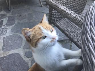 Thumbnail of IMG_0999.jpg