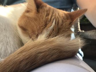 Thumbnail of IMG_1007.jpg