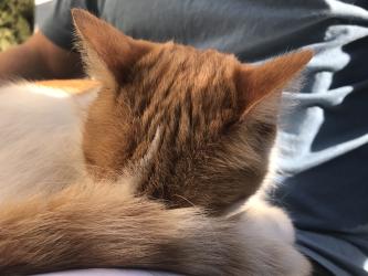 Thumbnail of IMG_1013.jpg