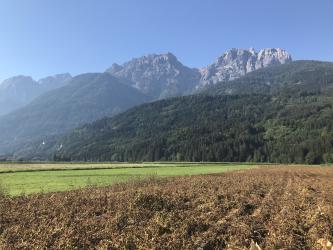 Thumbnail of IMG_1015.jpg