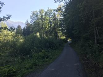 Thumbnail of IMG_1018.jpg