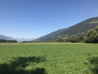 Thumbnail of IMG_1022.jpg