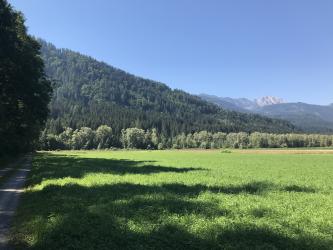 Thumbnail of IMG_1023.jpg