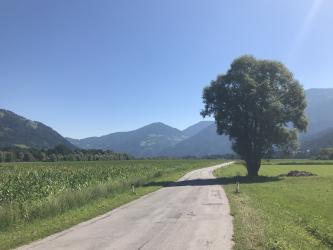 Thumbnail of IMG_1025.jpg